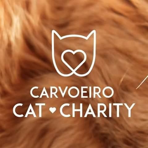 Carvoeiro Cat Charity